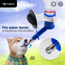 本周五采洽會(huì)來(lái)襲，泰國(guó)寵物衣架訂單引爆商機(jī)